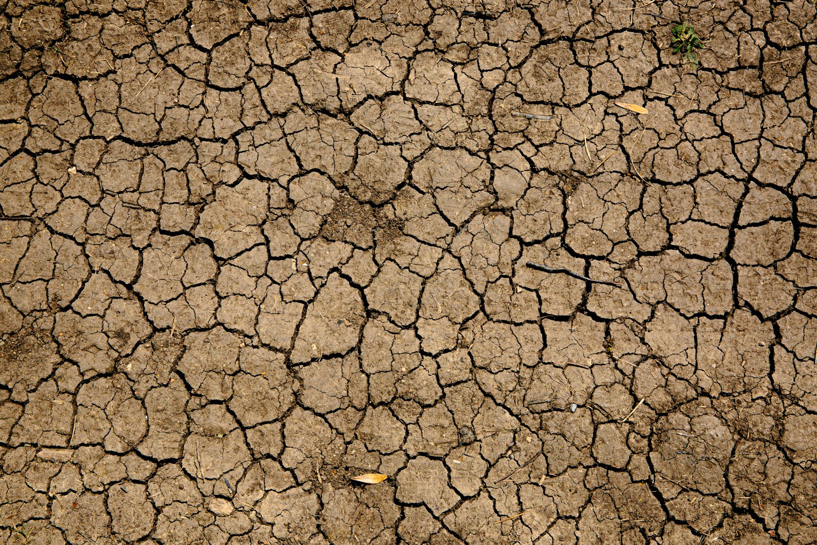 Cracked dry earth